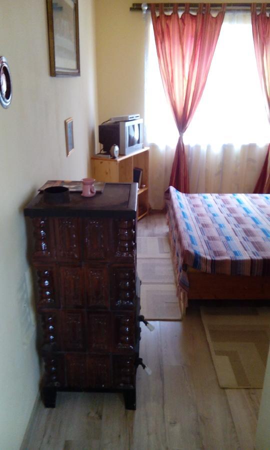 Gasthaus Casa Cosmin Dobra Exterior foto
